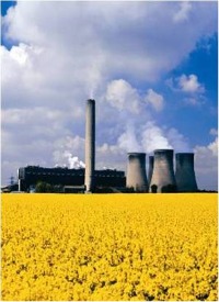 Power Plant with sun flowers image